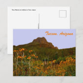Tucson Mountain en wilde bloemen op Sunset Briefkaart (Voorkant / Achterkant)