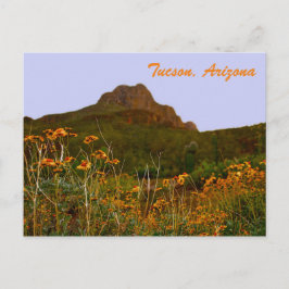 Tucson Mountain en wilde bloemen op Sunset Briefkaart