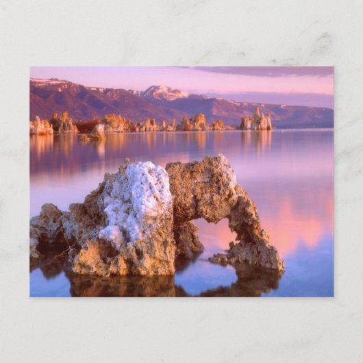 Tufa-boog bij Mono Lake Briefkaart (Voorkant)