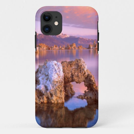 Tufa-boog bij Mono Lake Case-Mate iPhone Case (Achterkant)