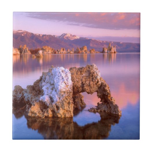 Tufa-boog bij Mono Lake Tegeltje (Voorkant)