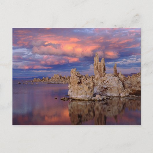 Tufa-formaties op Mono Lake Briefkaart (Voorkant)