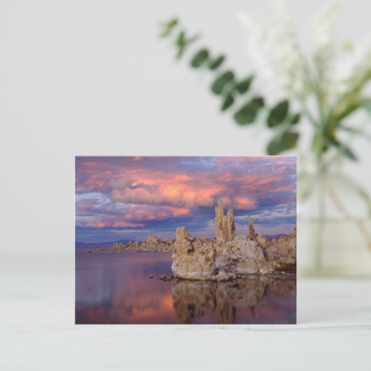 Tufa-formaties op Mono Lake Briefkaart (Staand voorkant)