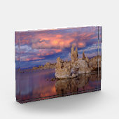 Tufa-formaties op Mono Lake Fotoblokken (Links)