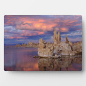 Tufa-formaties op Mono Lake Fotoplaat (voorkant)
