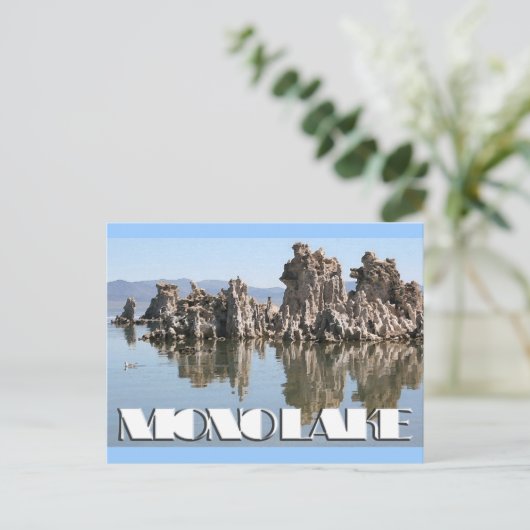 Tufa op Mono Lake Briefkaart (Staand voorkant)