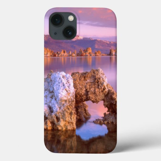 Tufaboog bij Mono Lake Case-Mate iPhone Case (Achterkant)