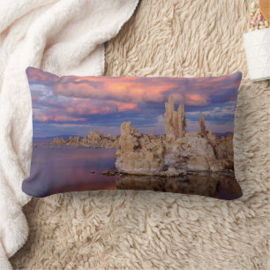 Tufavormingen op Mono Lake Kussen