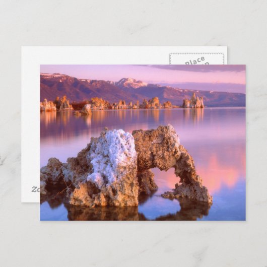 Tufboog op het Monomeer Briefkaart (Voorkant / Achterkant)