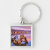 Tufboog op het Monomeer Sleutelhanger (Voorkant)