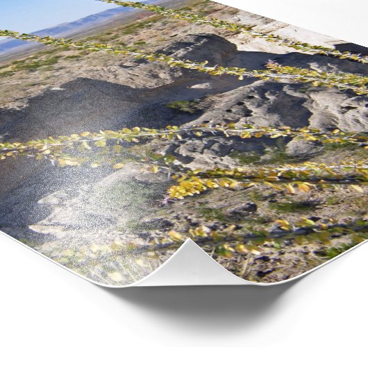 Tuff Canyon & Ocotillo, Big Bend National Park Foto Afdruk (Hoek)