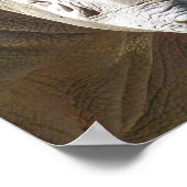 Tuff Stuff Poster (Hoek)