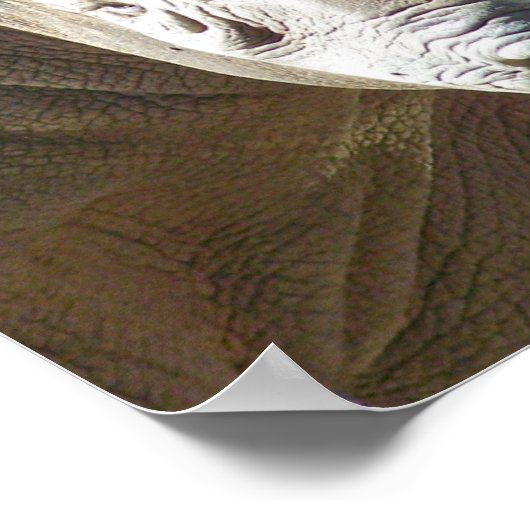 Tuff Stuff Poster (Hoek)