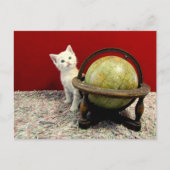 Tuffy McDuff over de hele wereld - Kat / Keuten Briefkaart (Voorkant)