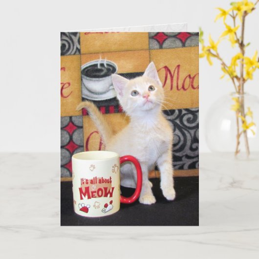 Tuffy McDuff's Mocha Dream Cat Birthday Kaart (Gele Bloem)