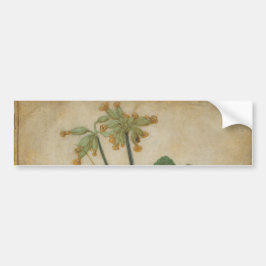 Tuft of Cowslips van Albrecht Durer Bumpersticker