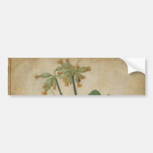 Tuft of Cowslips van Albrecht Durer Bumpersticker (Voorkant)