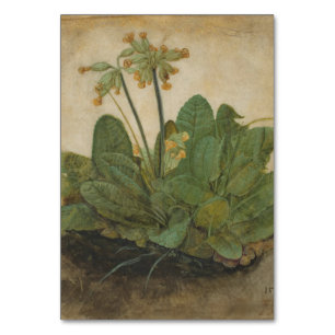 Tuft of Cowslips van Albrecht Durer Kaart
