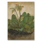 Tuft of Cowslips van Albrecht Durer Kaart (Achterkant)