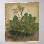 Tuft of Cowslips van Albrecht Durer Poster (Voorkant)