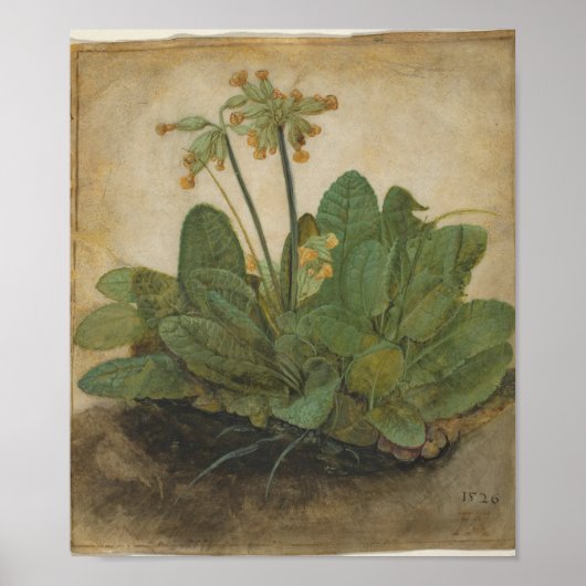 Tuft of Cowslips van Albrecht Durer Poster (Voorkant)