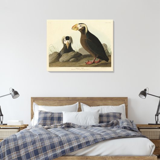 Tufted Auk (Puffin) - Amerikaanse vogels van Audub Canvas Afdruk (Insitu (Slaapkamer))