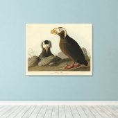 Tufted Auk (Puffin) - Amerikaanse vogels van Audub Canvas Afdruk (Insitu (Houten vloer))