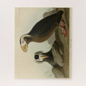 Tufted Auk (Puffin) - Amerikaanse vogels van Audub Legpuzzel (Verticaal)