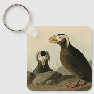 Tufted Auk (Puffin) - Amerikaanse vogels van Audub Sleutelhanger