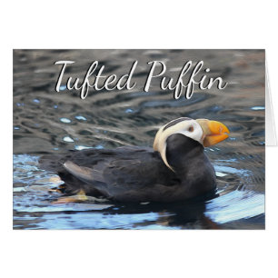 Tufted Puffin - 5-inch x 7-inch Art Kaart