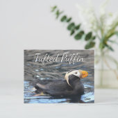 Tufted Puffin - Briefkaart (Staand voorkant)