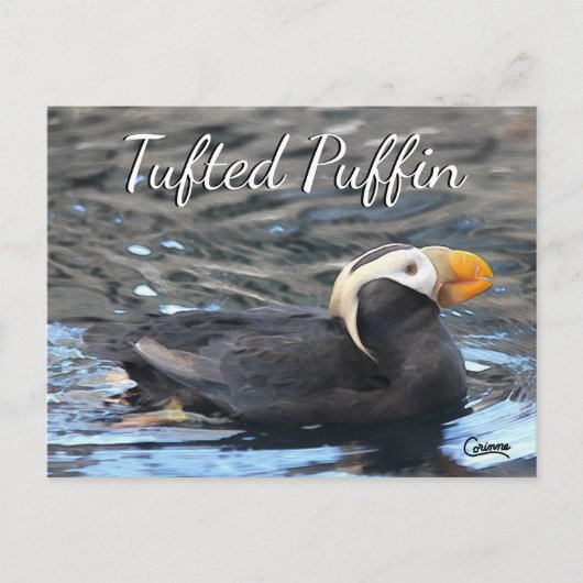 Tufted Puffin - Briefkaart (Voorkant)