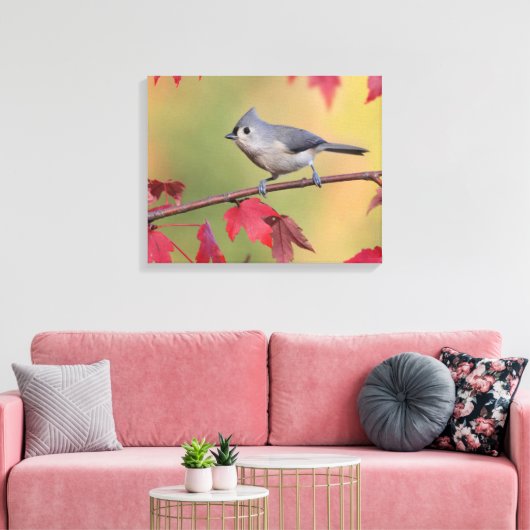 Tufted Titmice Canvas Afdruk (Insitu (Woonkamer))