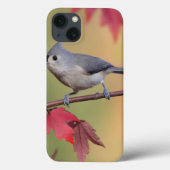 Tufted Titmice Case-Mate iPhone Case (Achterkant)