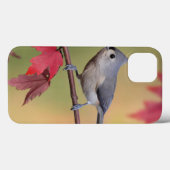 Tufted Titmice Case-Mate iPhone Case (Achterkant (horizontaal))