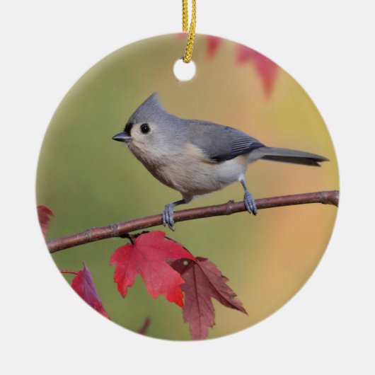 Tufted Titmice Keramisch Ornament (Voorkant)