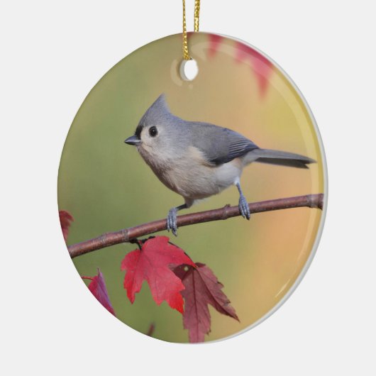 Tufted Titmice Keramisch Ornament (Links)