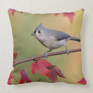 Tufted Titmice Kussen