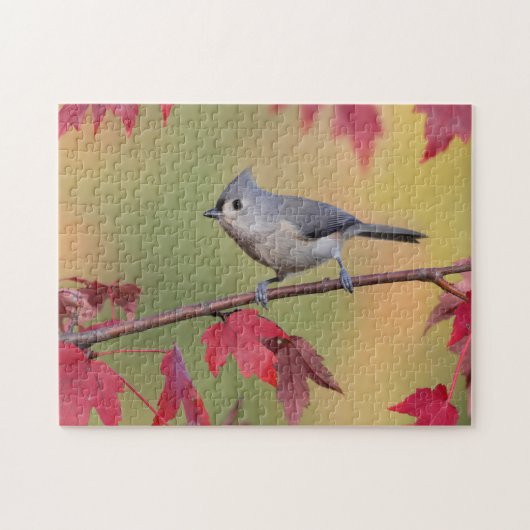 Tufted Titmice Legpuzzel (Horizontaal)