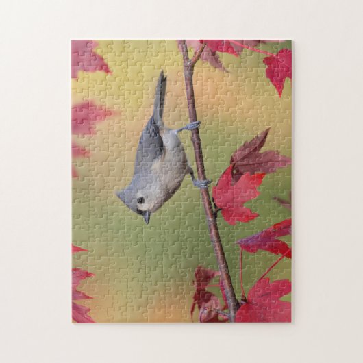 Tufted Titmice Legpuzzel (Verticaal)