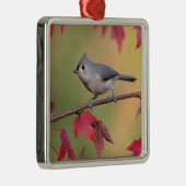 Tufted Titmice Metalen Ornament (Rechts)