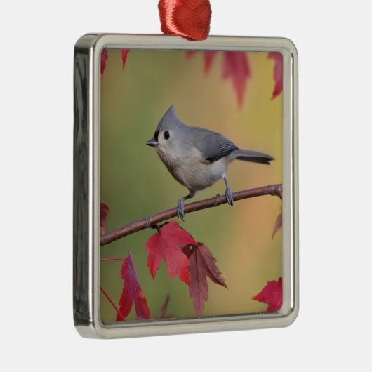 Tufted Titmice Metalen Ornament (Rechts)