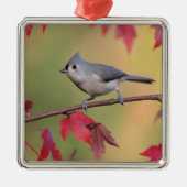 Tufted Titmice Metalen Ornament (Voorkant)