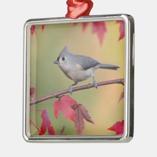 Tufted Titmice Metalen Ornament (Links)