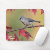 Tufted Titmice Muismat (Met muis)