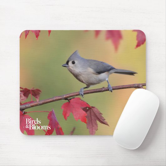 Tufted Titmice Muismat (Met muis)