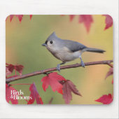 Tufted Titmice Muismat (Voorkant)