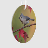 Tufted Titmice Ornament (voorkant)