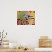 Tufted Titmice Poster (Keuken)