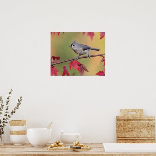Tufted Titmice Poster (Keuken)